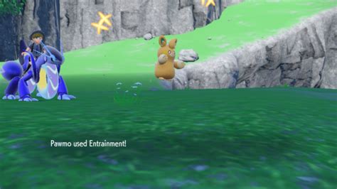entrainment pokemon.